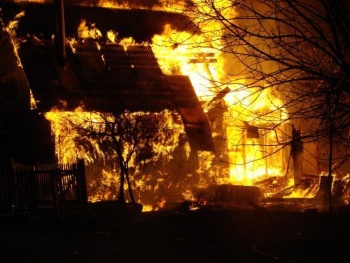 Пожар уничтожил в поселке «Овчинный городок» 47 домов